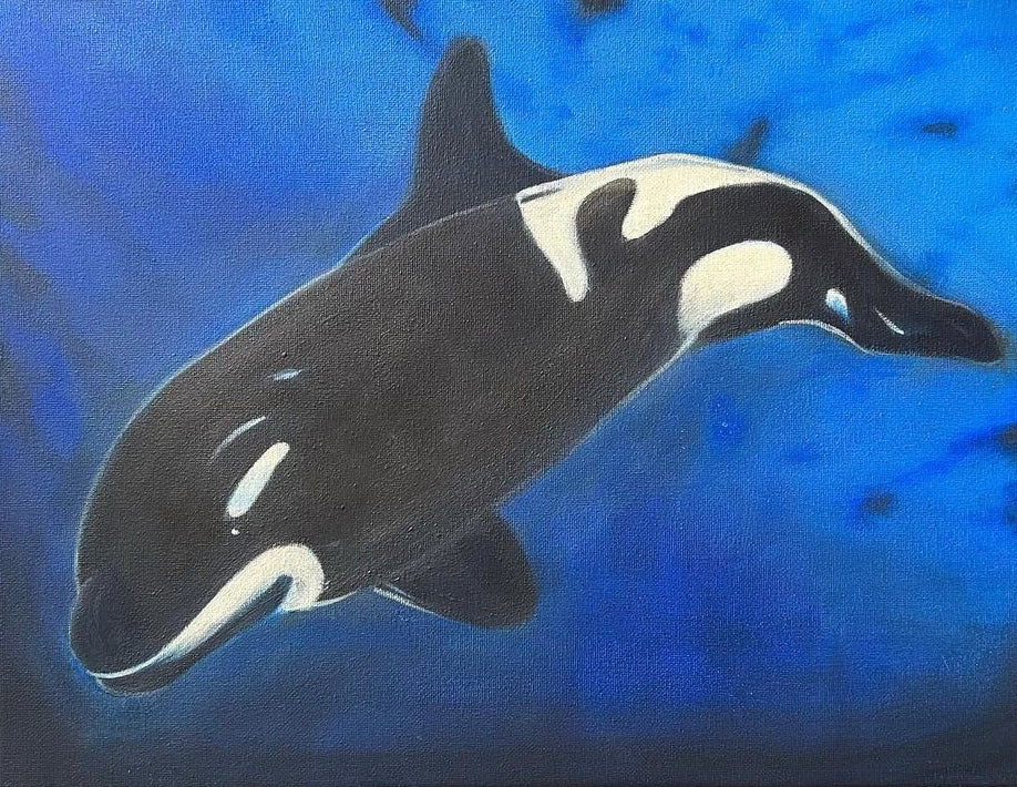 Orca