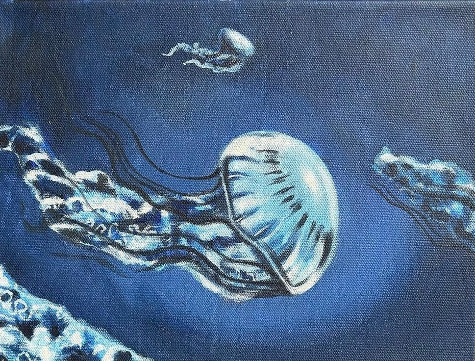 Jellyfish